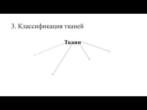 3. Классификация тканей