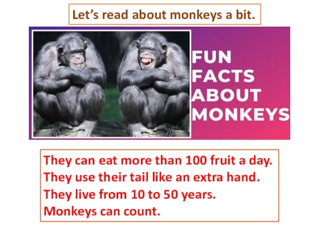 They can eat more than 100 fruit a day. They use