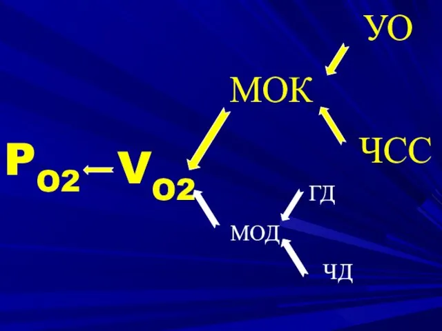 УО ЧСС МОК VO2 PO2 МОД ГД ЧД