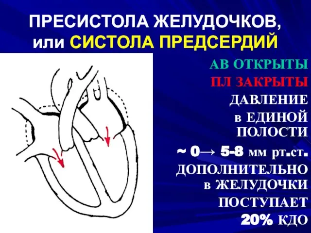 ‏ ПРЕСИСТОЛА ЖЕЛУДОЧКОВ, или СИСТОЛА ПРЕДСЕРДИЙ АВ ОТКРЫТЫ ПЛ ЗАКРЫТЫ ДАВЛЕНИЕ