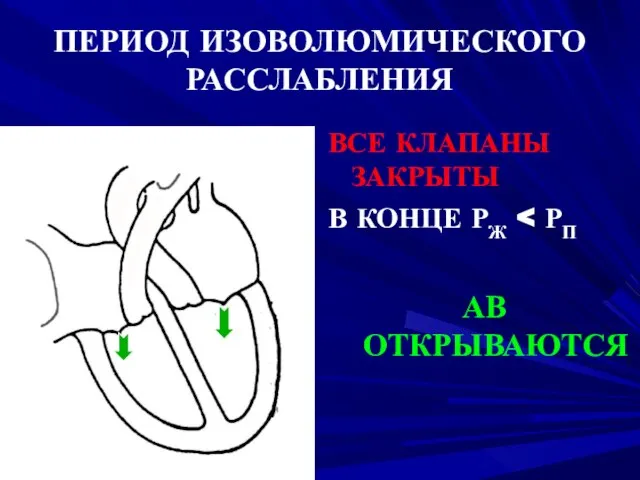 ПЕРИОД ИЗОВОЛЮМИЧЕСКОГО РАССЛАБЛЕНИЯ ВСЕ КЛАПАНЫ ЗАКРЫТЫ В КОНЦЕ РЖ АВ ОТКРЫВАЮТСЯ