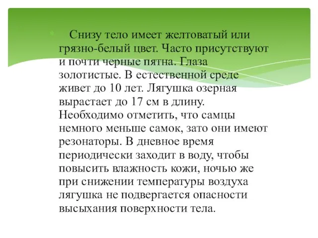 Снизу тело имеет желтоватый или грязно-белый цвет. Часто присутствуют и почти