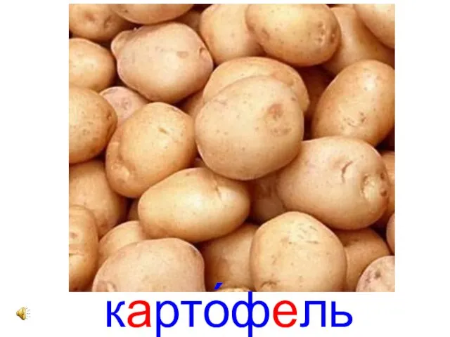 карто́фель