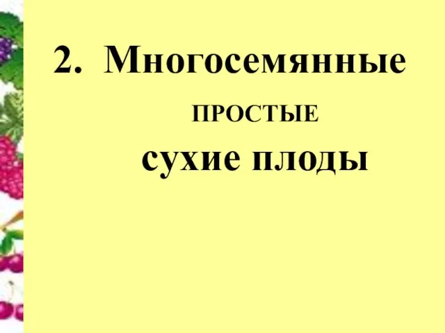 Многосемянные ПРОСТЫЕ сухие плоды