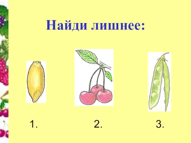 Найди лишнее: 1. 2. 3.