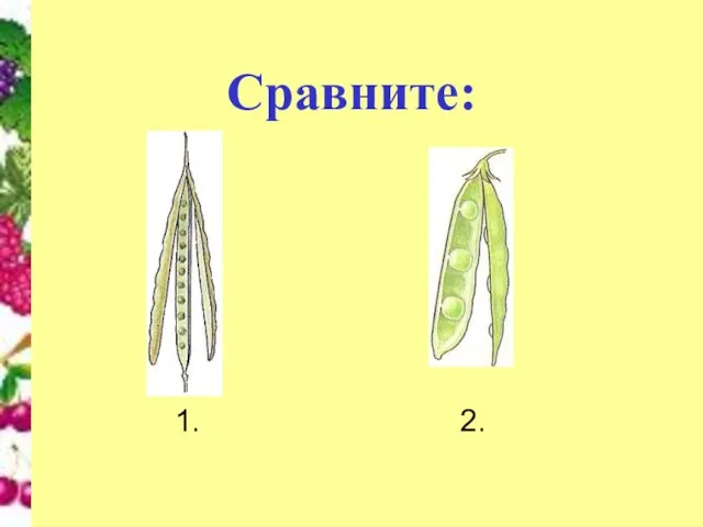 Сравните: 1. 2.