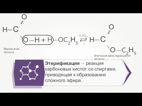 Этерификация — реакция карбоновых кислот со спиртами, приводящая к образованию сложного