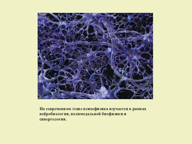 На современном этапе психофизика изучается в рамках нейробиологии, полимодальной биофизики и синергологии.