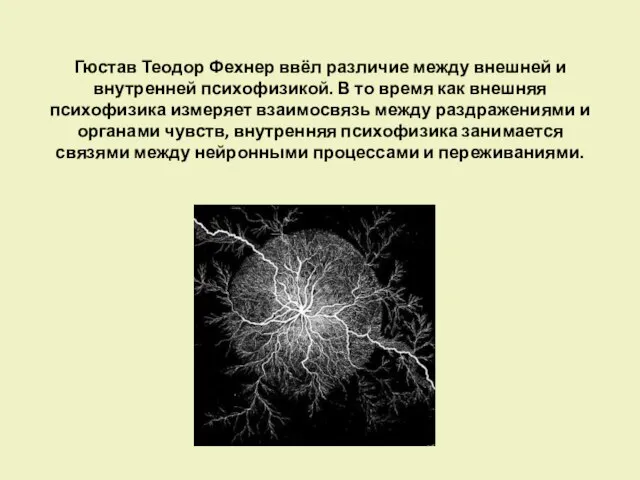 Гюстав Теодор Фехнер ввёл различие между внешней и внутренней психофизикой. В