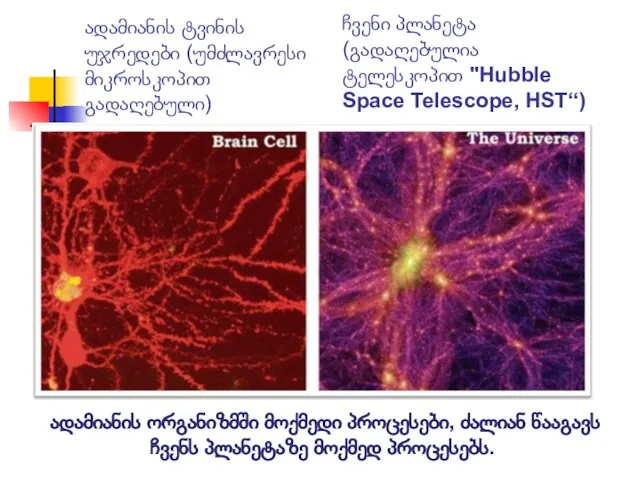 ადამიანის ტვინის უჯრედები (უმძლავრესი მიკროსკოპით გადაღებული) ჩვენი პლანეტა (გადაღებულია ტელესკოპით "Hubble
