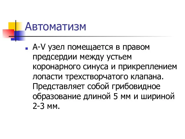 Автоматизм А-V узел помещается в правом предсердии между устьем коронарного синуса