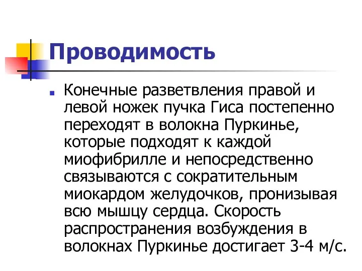 Проводимость Конечные разветвления правой и левой ножек пучка Гиса постепенно переходят