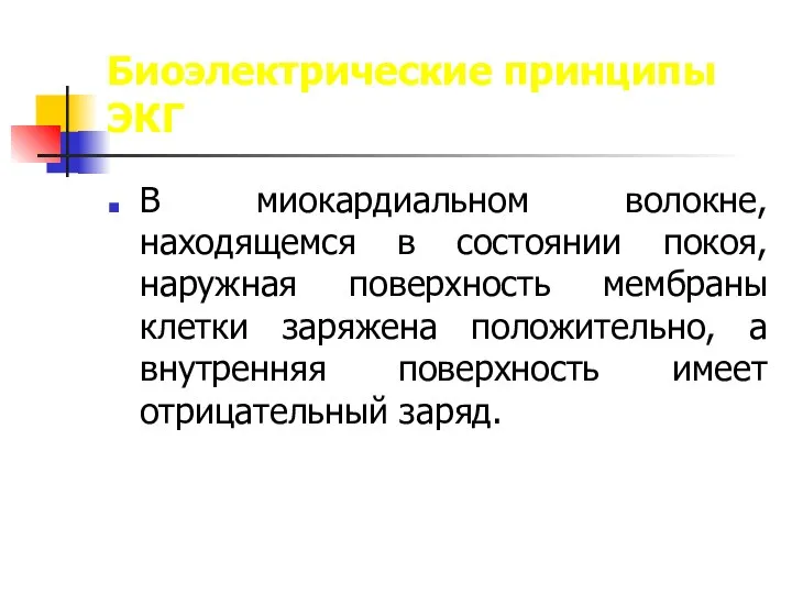 Биоэлектрические принципы ЭКГ В миокардиальном волокне, находящемся в состоянии покоя, наружная