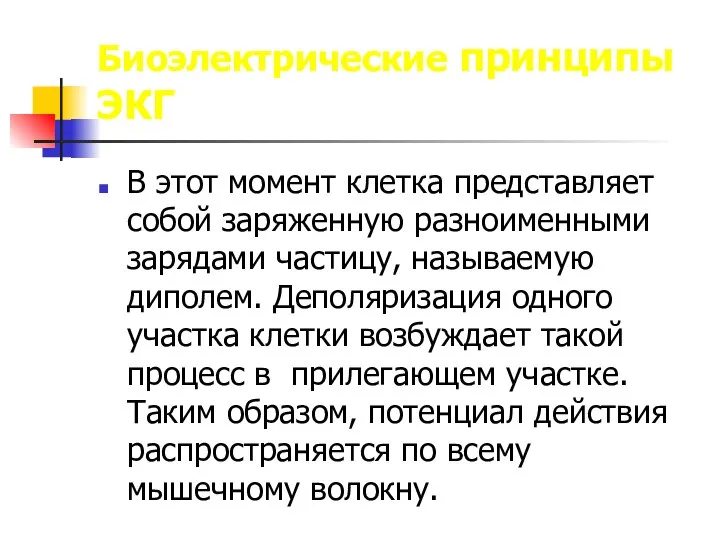 Биоэлектрические принципы ЭКГ В этот момент клетка представляет собой заряженную разноименными