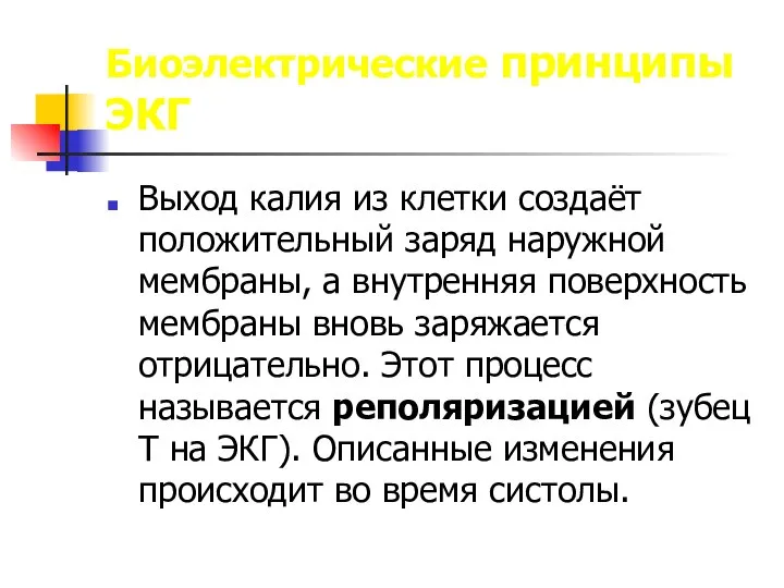 Биоэлектрические принципы ЭКГ Выход калия из клетки создаёт положительный заряд наружной