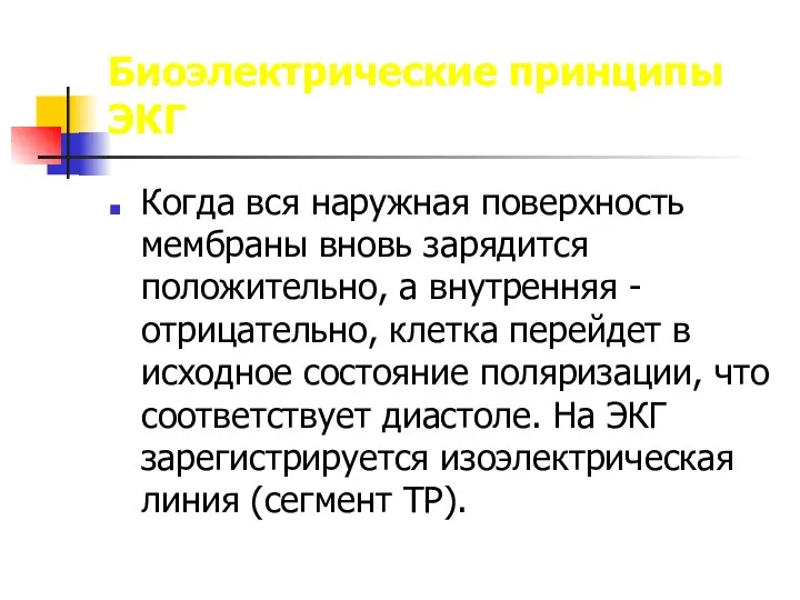 Биоэлектрические принципы ЭКГ Когда вся наружная поверхность мембраны вновь зарядится положительно,