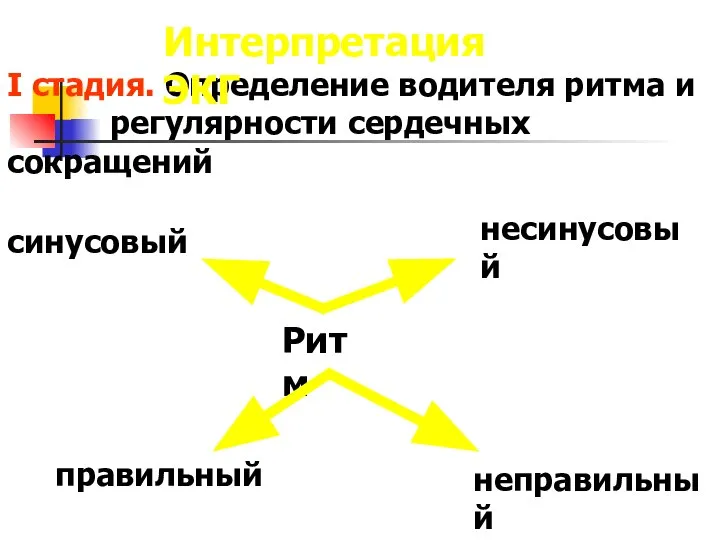 I стадия. Определение водителя ритма и регулярности сердечных сокращений синусовый несинусовый правильный Интерпретация ЭКГ Ритм неправильный