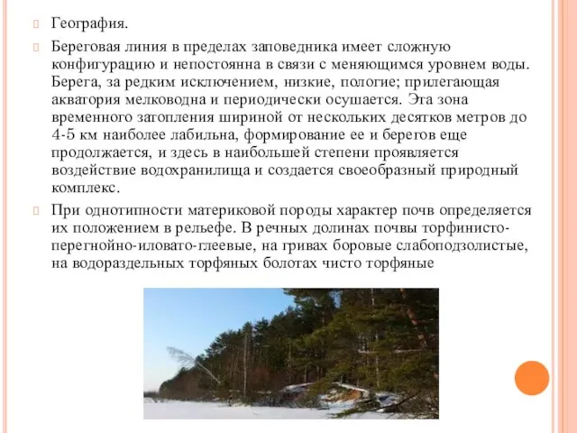 География. Береговая линия в пределах заповедника имеет сложную конфигурацию и непостоянна