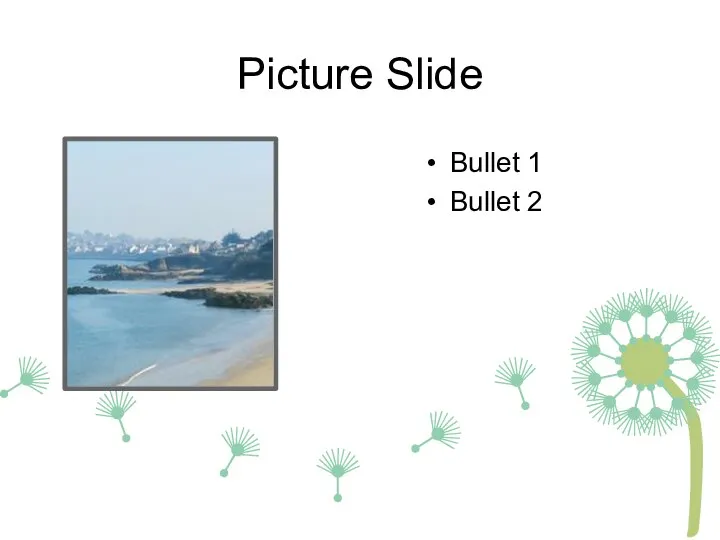 Picture Slide Bullet 1 Bullet 2