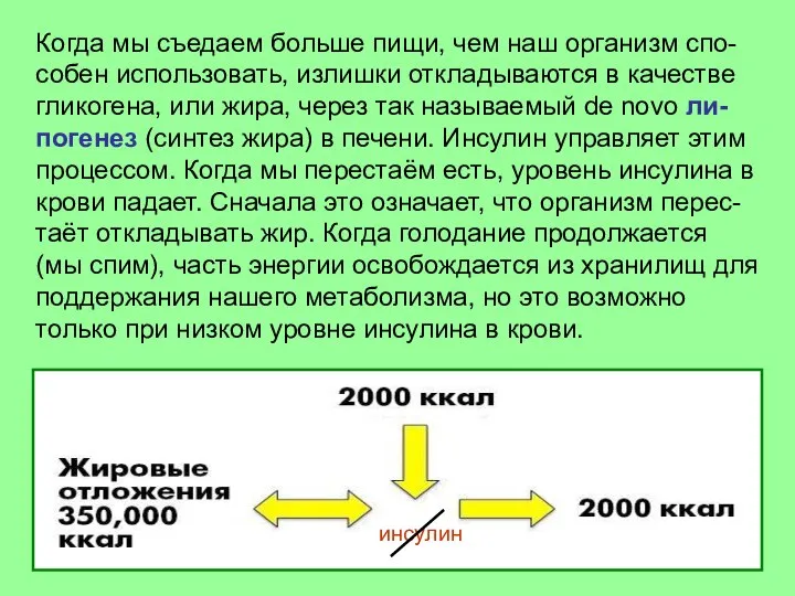 Когда мы съедаем больше пищи, чем наш организм спо-собен использовать, излишки