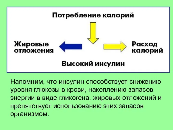 Напомним, что инсулин способствует снижению уровня глюкозы в крови, накоплению запасов