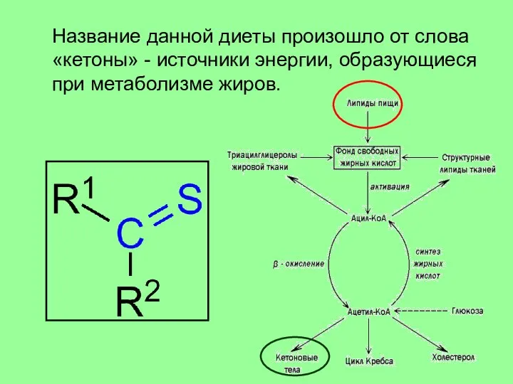 Название данной диеты произошло от слова «кетоны» - источники энергии, образующиеся при метаболизме жиров.