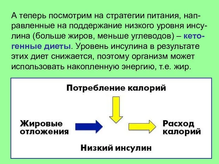 А теперь посмотрим на стратегии питания, нап-равленные на поддержание низкого уровня