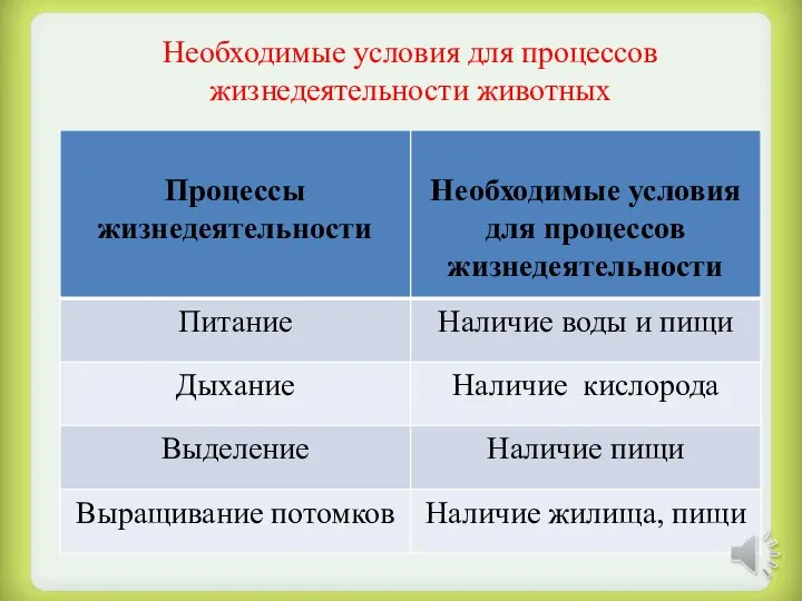 Необходимые условия для процессов жизнедеятельности животных