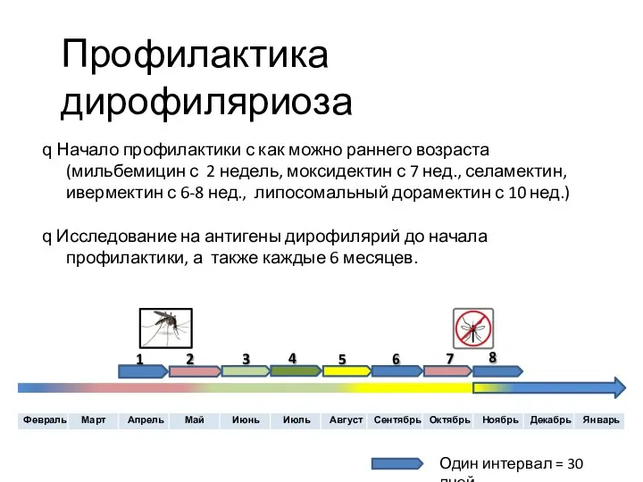 Профилактика дирофиляриоза 3 4 6 5 2 1 Один интервал =