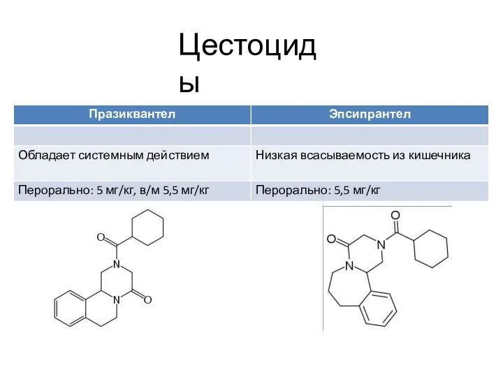 Цестоциды