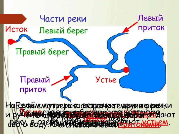 Части реки Как называют начало реки? Исток Что такое устье реки?