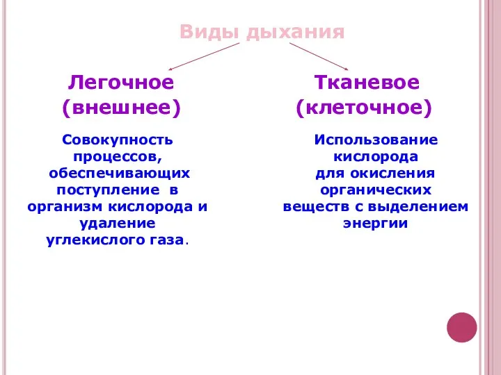 Виды дыхания Легочное (внешнее) Тканевое (клеточное) Совокупность процессов, обеспечивающих поступление в