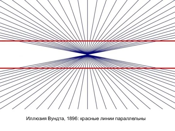 Иллюзия Вундта, 1896: красные линии параллельны