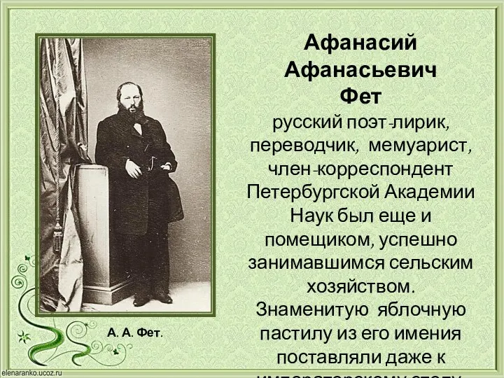 Афанасий Афанасьевич Фет русский поэт-лирик, переводчик, мемуарист, член-корреспондент Петербургской Академии Наук