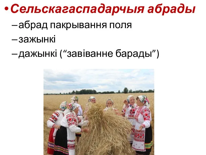 Сельскагаспадарчыя абрады абрад пакрывання поля зажынкі дажынкі (“завіванне барады”)