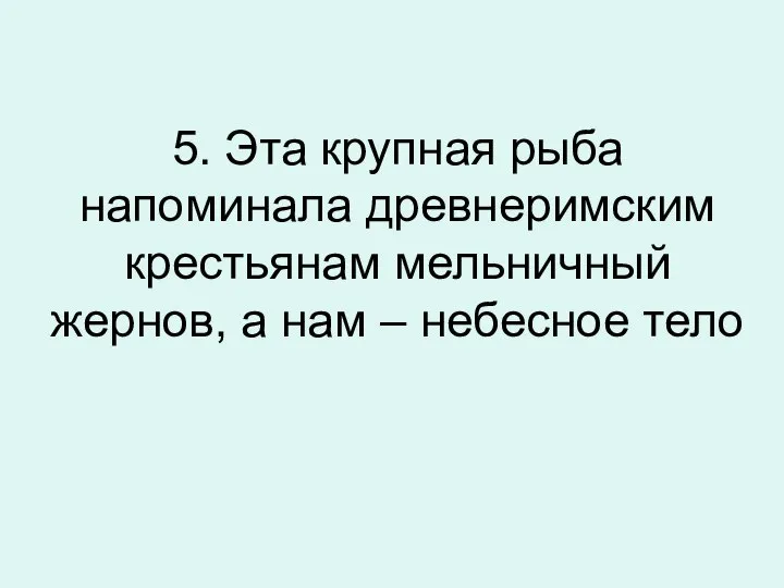 5. Эта крупная рыба напоминала древнеримским крестьянам мельничный жернов, а нам – небесное тело