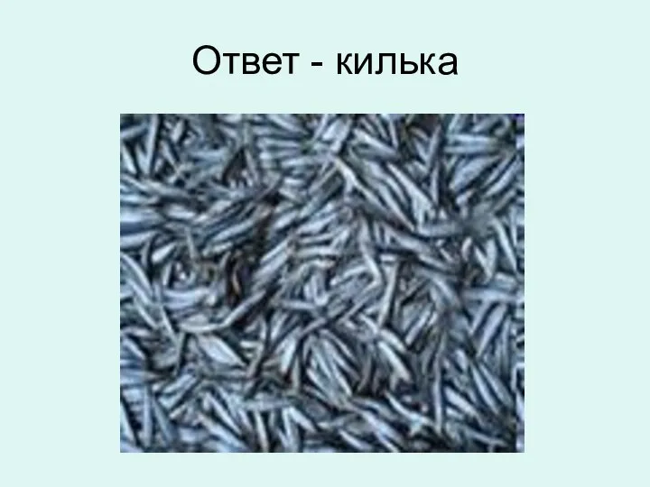 Ответ - килька