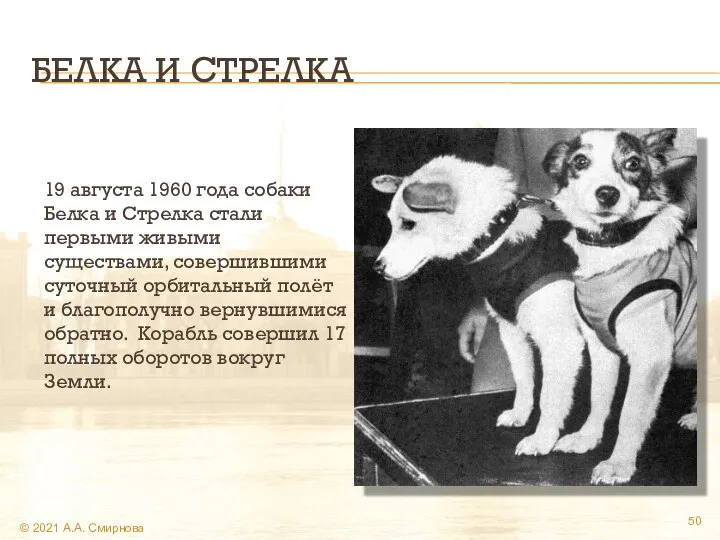 БЕЛКА И СТРЕЛКА 19 августа 1960 года собаки Белка и Стрелка