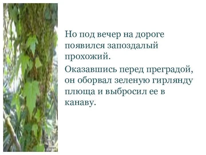 Но под вечер на дороге появился запоздалый прохожий. Оказавшись перед преградой,