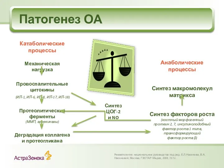 Патогенез ОА Ревматология: национальное руководство под ред. Е.Л.Насонова, В.А.Насоновой, Москва, ГЭОТАР-Медия,