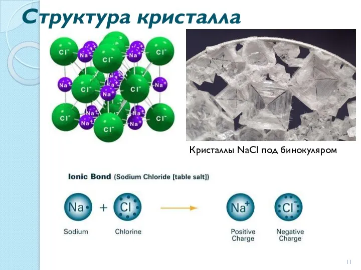 Структура кристалла Кристаллы NaCl под бинокуляром