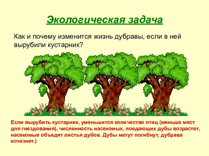 Экологическая задача Как и почему изменится жизнь дубравы, если в ней