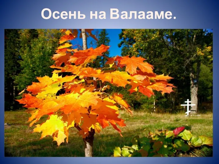 Осень на Валааме.