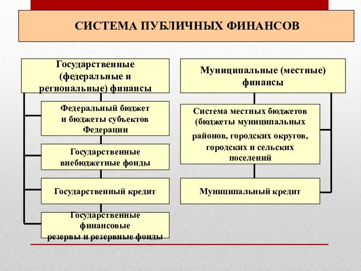 СИСТЕМА ПУБЛИЧНЫХ ФИНАНСОВ Государственные (федеральные и региональные) финансы Федеральный бюджет и