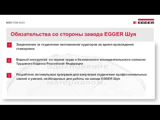 Обязательства со стороны завода EGGER Шуя 1 Закрепление за студентами наставников/