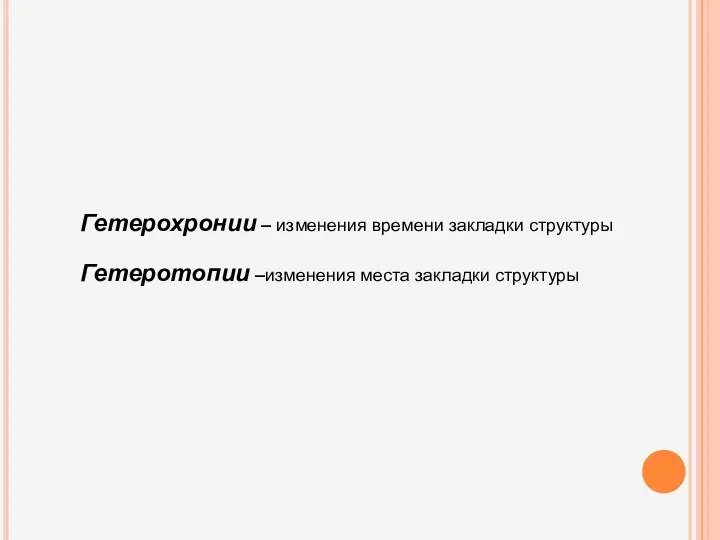 Гетерохронии – изменения времени закладки структуры Гетеротопии –изменения места закладки структуры