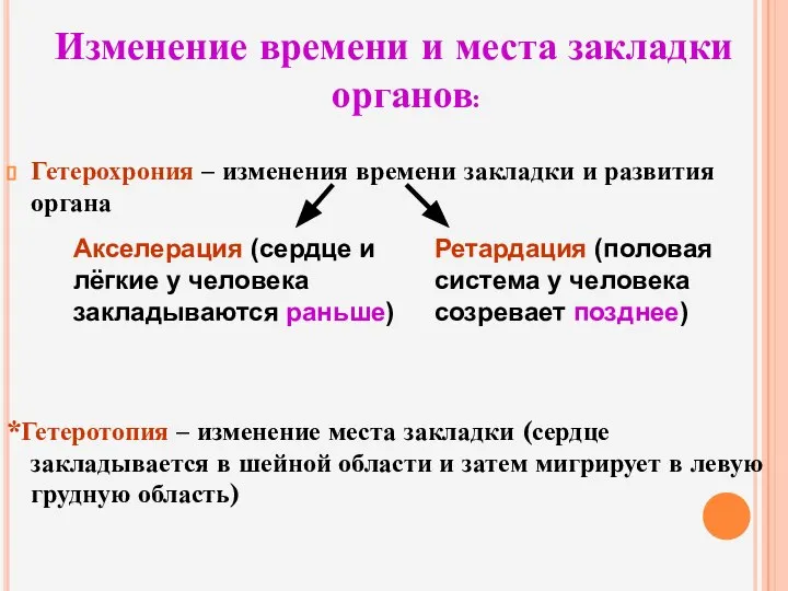 Изменение времени и места закладки органов: Гетерохрония – изменения времени закладки