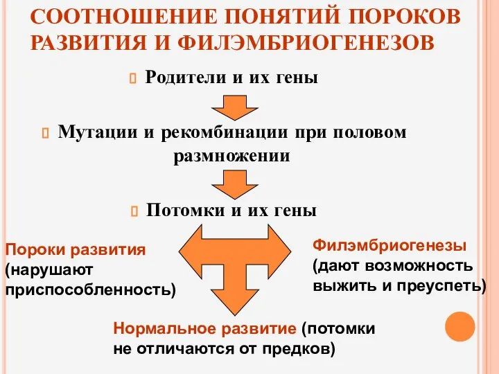 СООТНОШЕНИЕ ПОНЯТИЙ ПОРОКОВ РАЗВИТИЯ И ФИЛЭМБРИОГЕНЕЗОВ Родители и их гены Мутации