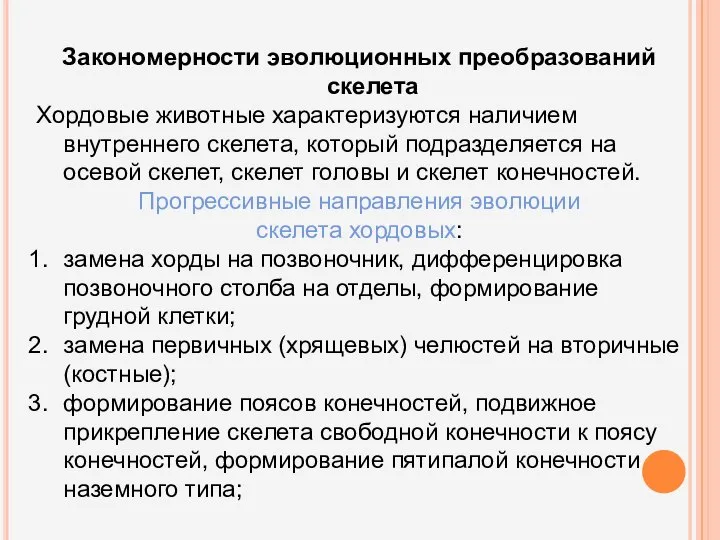 Закономерности эволюционных преобразований скелета Хордовые животные характеризуются наличием внутреннего скелета, который