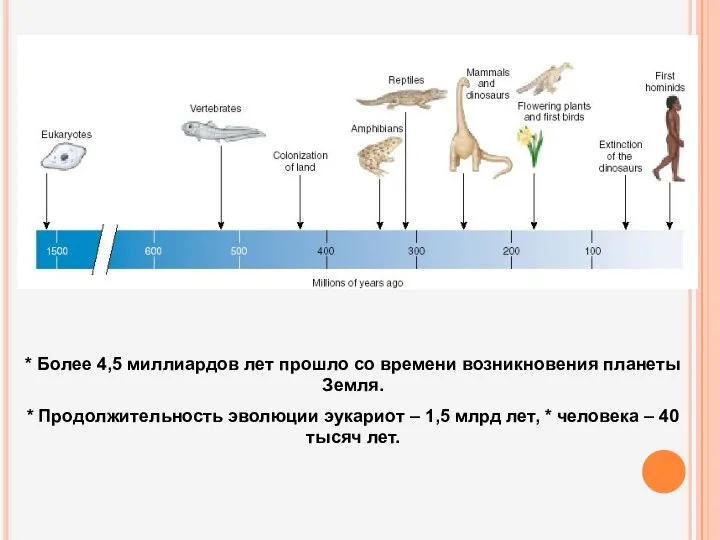 * Более 4,5 миллиардов лет прошло со времени возникновения планеты Земля.